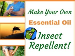 Essential-Natural-oils-Natural-Fly-Repellent-oils such as tea tree and Lavender