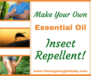 natural fly repellent wheelie bins cleaned cleaner is greener