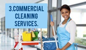 commercial Cleaning Services Wheelie Bin Cleaning Service bin store cleaning