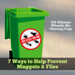 Top 7 Ways to prevent maggots & Flies 101 Ultimate Wheelie Bin Clearing Faqs